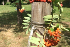 Naturart-4