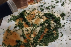 Peinture-vegetale