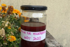 Plantes-medicinales