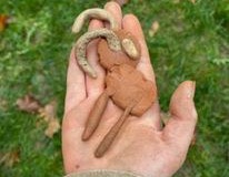 Sculpture-sauvage